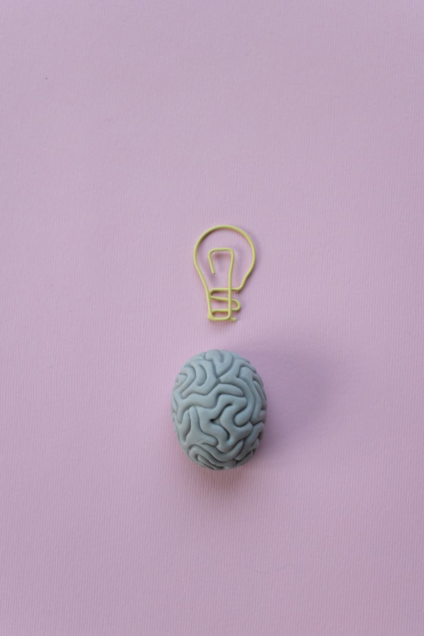 Brain diagram showing how the 4-3-2-1 method activates the prefrontal cortex and calms the amygdala