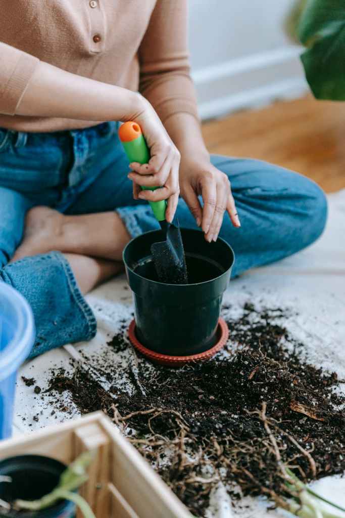 Mom planting a flower in a pot