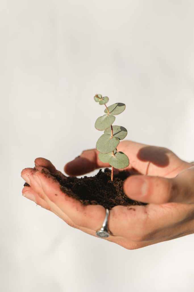 Nurturing emotional growth and resilience through evidence-based practices